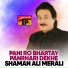 Shaman Ali Merali