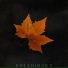 Cheshirsky
