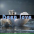 Areed
