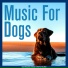 Dog Music, Relaxmydog, Dog Music Therapy