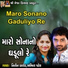 Abhita Patel, Nitin Barot