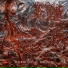 Gangrenectomy
