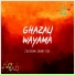 Zeeshan Janat Gul