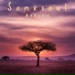 Samxsoul
