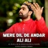 Ali Raza