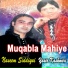 Yasir Kashmiri, Naseem Siddiqui