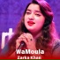 Zarka Khan