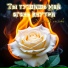 Юлия Крылова