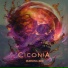 Ciconia