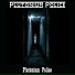 Plutonium Police