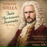 Simone Stella, Academia Istèrica