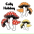 Colly Holiday