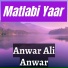 Anwar Ali Anwar