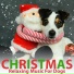 Dog Music, Dog Music Dreams, Dog Music Therapy