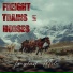 Freight Trains And Horses