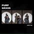 PurpGrass