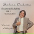 Sabina Orchestra, Vinicio Allegrini
