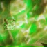 primelonely