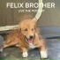 Felix Brother