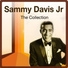Sammy Davis Jr.