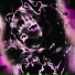 VoLZeR