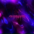 Arseletty