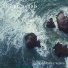 Ocean Sounds