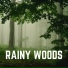 Rain Sounds Nature Collection