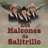 Los Halcones De Salitrillo