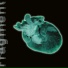 Fragment