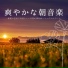爽快早朝浄化