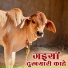 Bherulal Rav