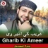 Jameel Fani