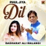 Basharat Ali Malangi