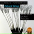 Edvard Greig