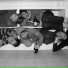 Band Lobsterclub