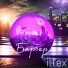 Illex