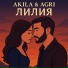 Akila, Agri