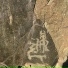 Казян, Junis