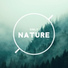 Zen Soothing Sounds of Nature