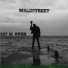WalDStreeT