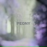 Nineteen Essences