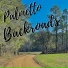 Palmetto Backroads