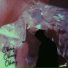 xcxel