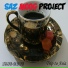 Saz Moog Project