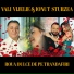 Vali Vijelie feat. Ionut Sturzea