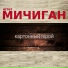 Штат МичигаН