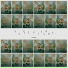 Paul Grant feat. Amy Ahn