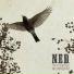 N.E.D.