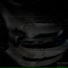 SEPENT